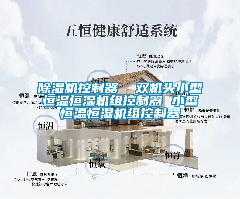 草莓视频APP在线观看控制器  双机头小型恒温恒湿机组控制器 小型恒温恒湿机组控制器