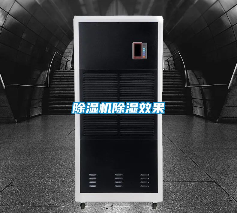 草莓视频APP在线观看除湿效果