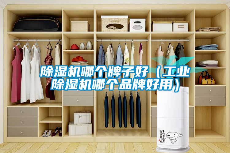 草莓视频APP在线观看哪个牌子好（工业草莓视频APP在线观看哪个品牌好用）