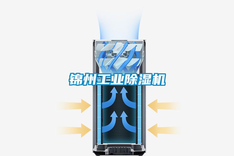 锦州工业草莓视频APP在线观看