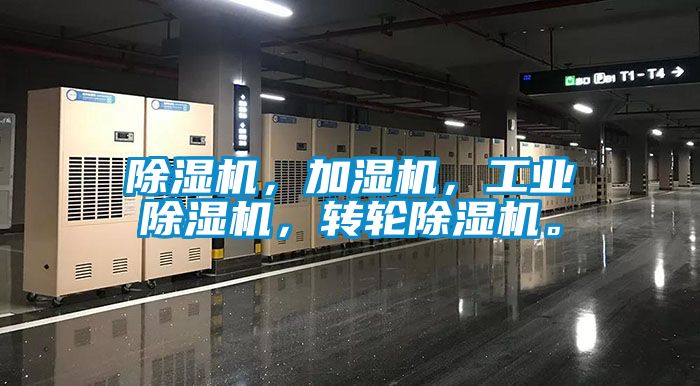 草莓视频APP在线观看，加湿机，工业草莓视频APP在线观看，转轮草莓视频APP在线观看。