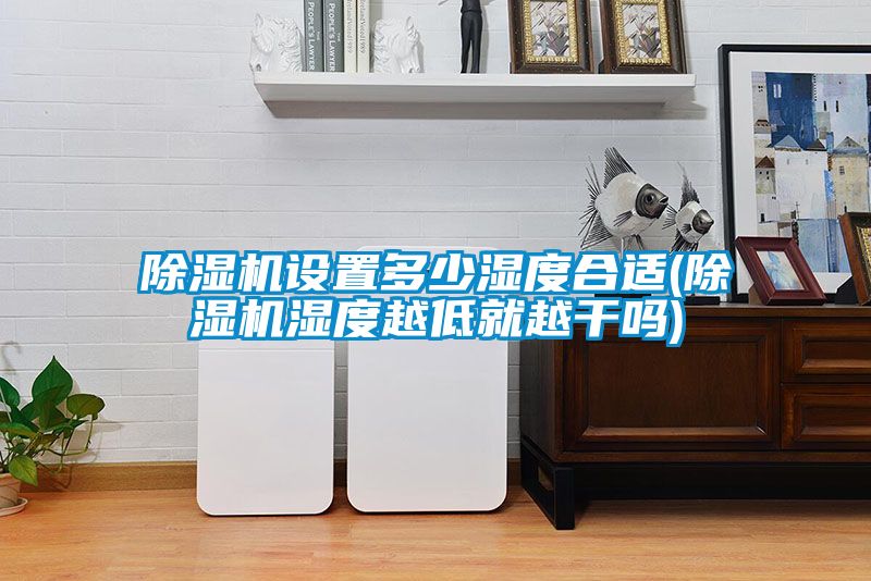 草莓视频APP在线观看设置多少湿度合适(草莓视频APP在线观看湿度越低就越干吗)