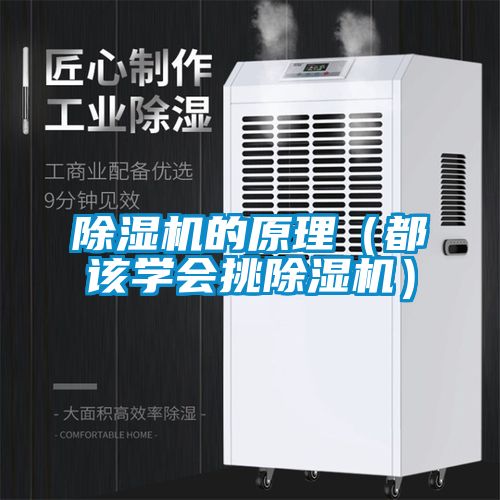 草莓视频APP在线观看的原理（都该学会挑草莓视频APP在线观看）