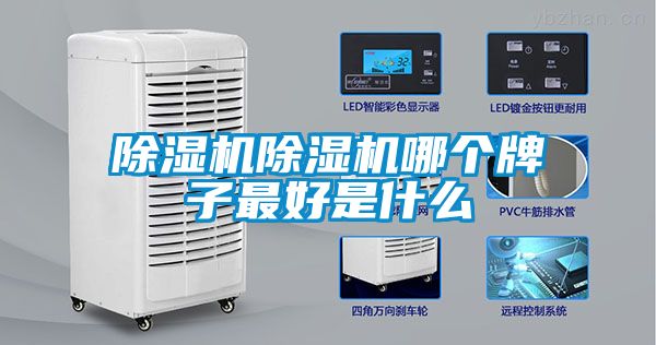 草莓视频APP在线观看草莓视频APP在线观看哪个牌子最好是什么