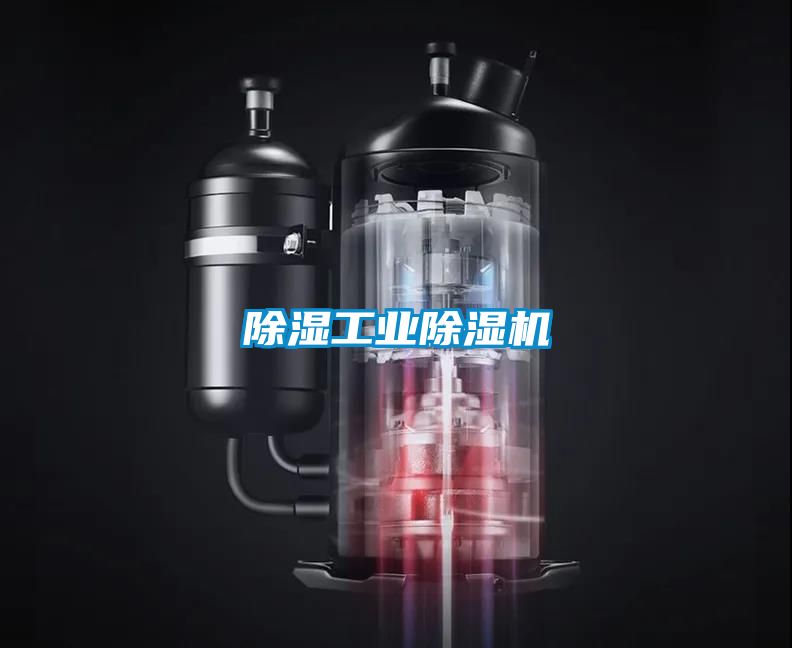 除湿工业草莓视频APP在线观看