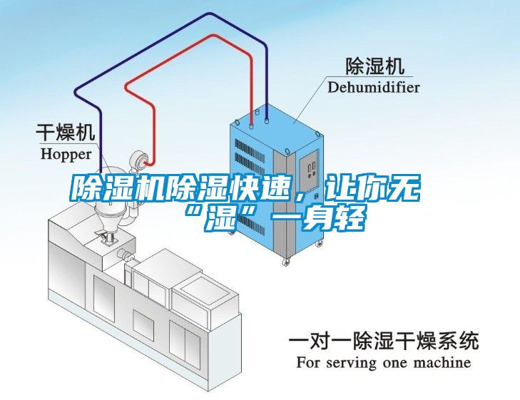 草莓视频APP在线观看除湿快速，让你无“湿”一身轻