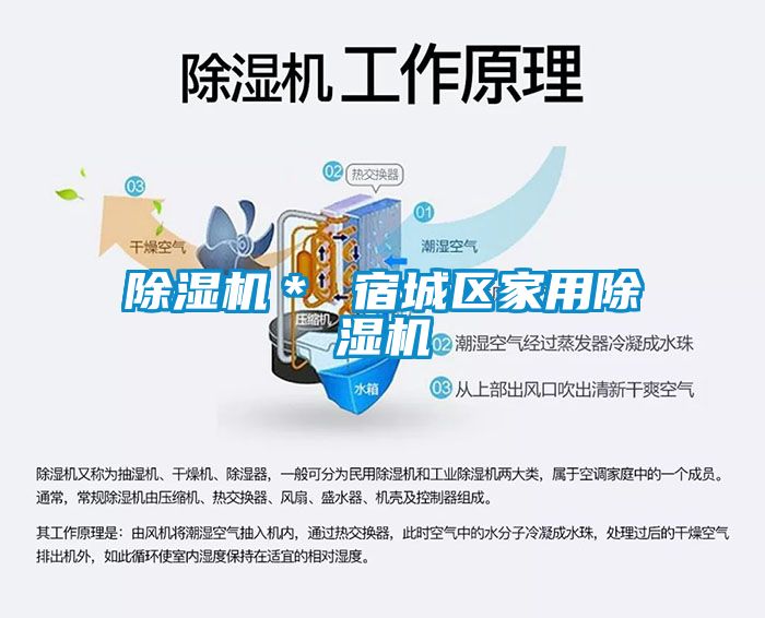 草莓视频APP在线观看＊ 宿城区家用草莓视频APP在线观看