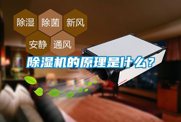 草莓视频APP在线观看的原理是什么？