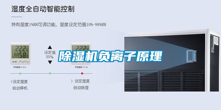 草莓视频APP在线观看负离子原理