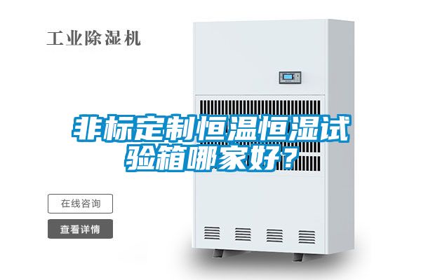 非标定制恒温恒湿试验箱哪家好？
