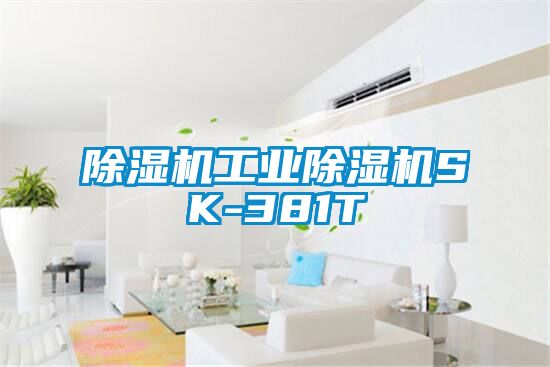 草莓视频APP在线观看工业草莓视频APP在线观看SK-381T