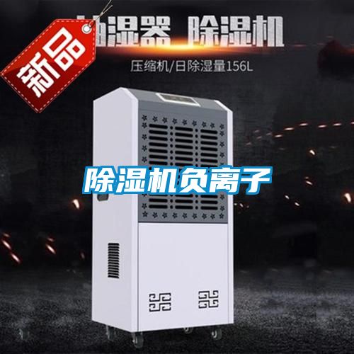 草莓视频APP在线观看负离子