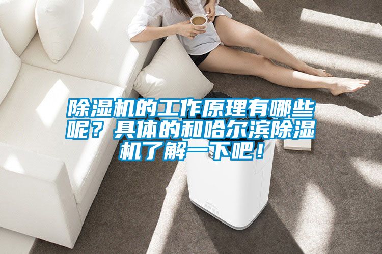 草莓视频APP在线观看的工作原理有哪些呢？具体的和哈尔滨草莓视频APP在线观看了解一下吧！
