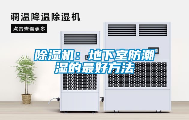 草莓视频APP在线观看：地下室防潮湿的最好方法
