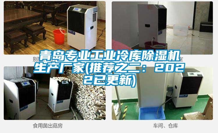 青岛专业工业冷库草莓视频APP在线观看生产厂家(推荐之二：2022已更新)
