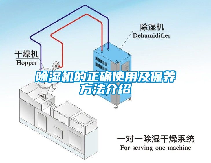 草莓视频APP在线观看的正确使用及保养方法介绍