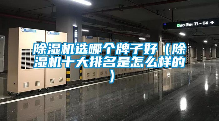 草莓视频APP在线观看选哪个牌子好（草莓视频APP在线观看十大排名是怎么样的）