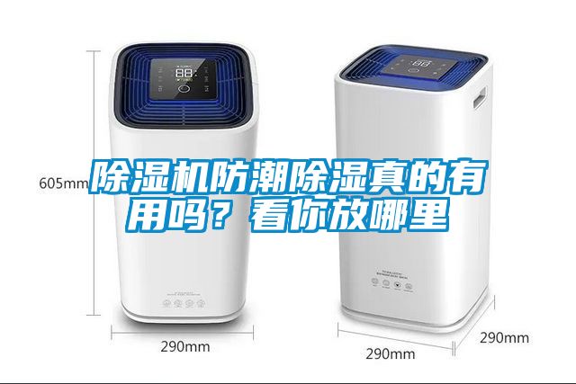 草莓视频APP在线观看防潮除湿真的有用吗？看你放哪里