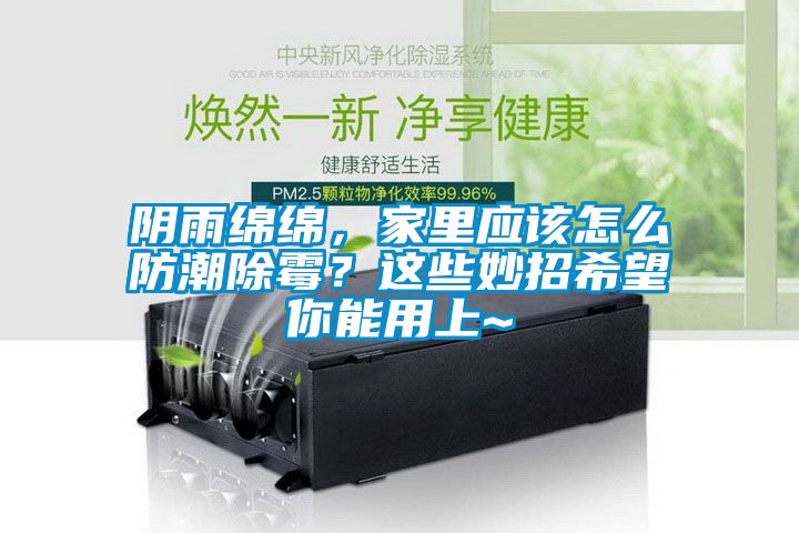 阴雨绵绵，家里应该怎么防潮除霉？这些妙招希望你能用上~