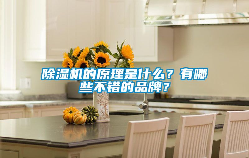 草莓视频APP在线观看的原理是什么？有哪些不错的品牌？
