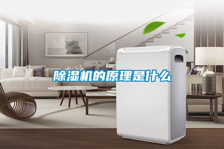 草莓视频APP在线观看的原理是什么
