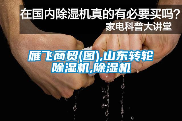 雁飞商贸(图),山东转轮草莓视频APP在线观看,草莓视频APP在线观看