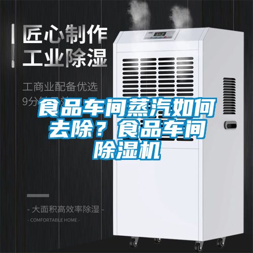 食品车间蒸汽如何去除？食品车间草莓视频APP在线观看