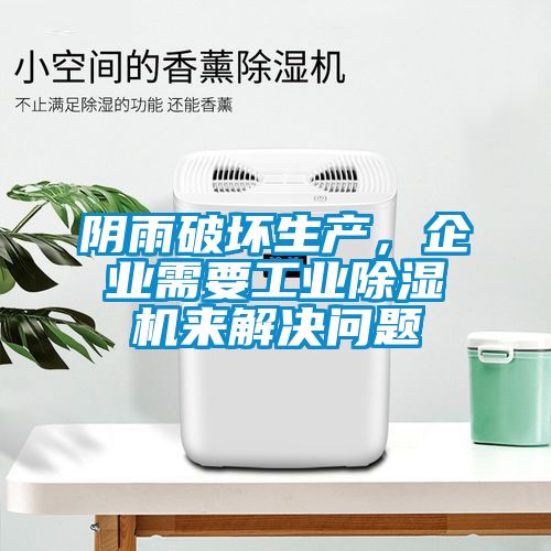 阴雨破坏生产，企业需要工业草莓视频APP在线观看来解决问题