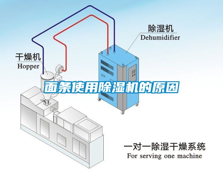 面条使用草莓视频APP在线观看的原因