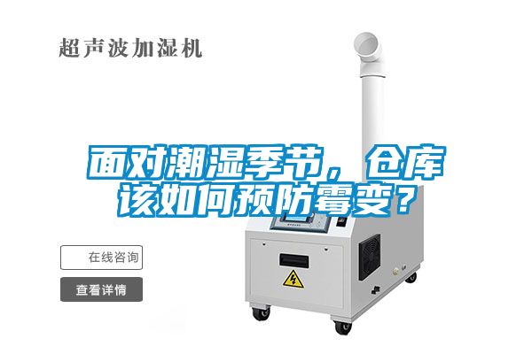 面对潮湿季节，仓库该如何预防霉变？