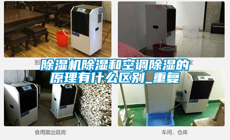 草莓视频APP在线观看除湿和空调除湿的原理有什么区别_重复