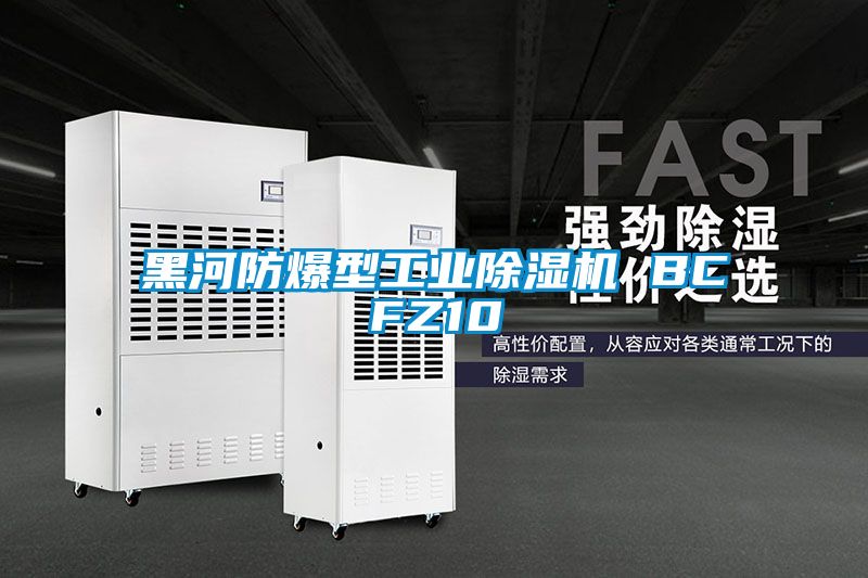 黑河防爆型工业草莓视频APP在线观看 BCFZ10