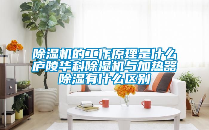 草莓视频APP在线观看的工作原理是什么庐陵华科草莓视频APP在线观看与加热器除湿有什么区别