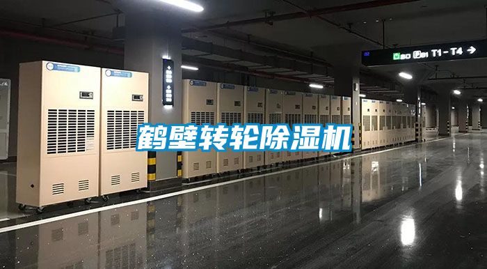 鹤壁转轮草莓视频APP在线观看