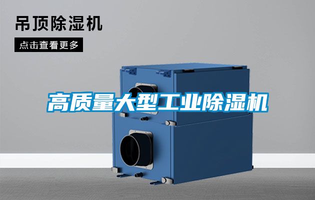 高质量大型工业草莓视频APP在线观看