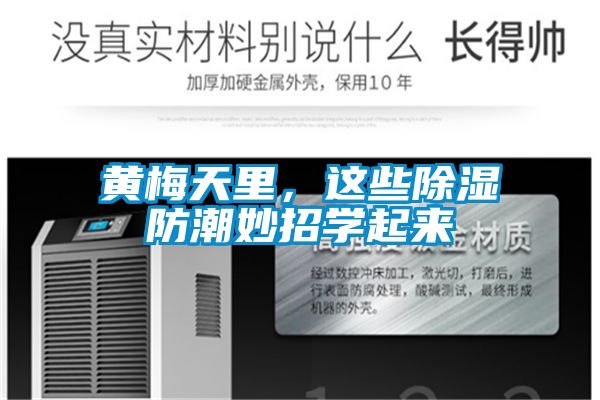 黄梅天里，这些除湿防潮妙招学起来