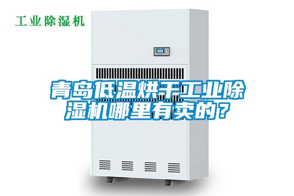 青岛低温烘干工业草莓视频APP在线观看哪里有卖的？
