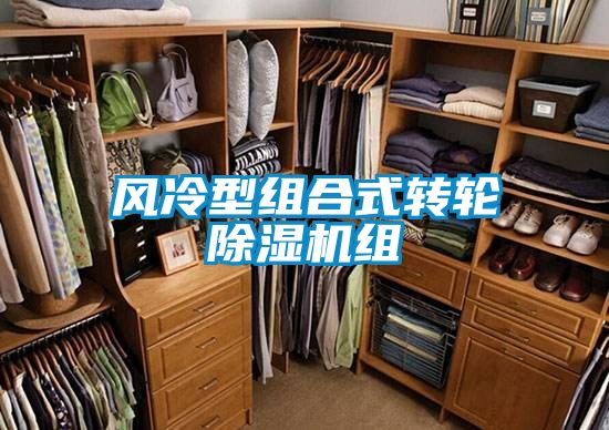 风冷型组合式转轮草莓视频APP在线观看组