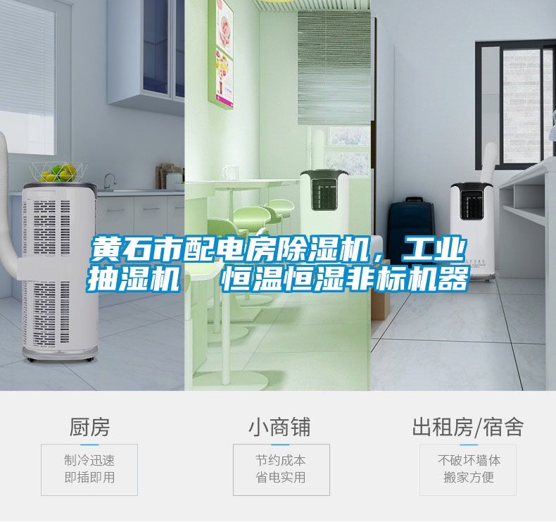 黄石市配电房草莓视频APP在线观看，工业抽湿机  恒温恒湿非标机器