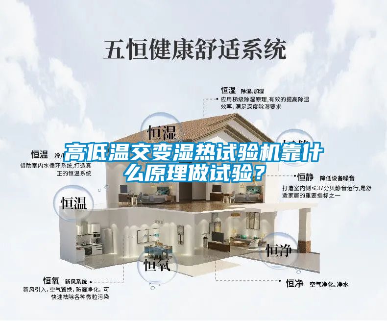 高低温交变湿热试验机靠什么原理做试验？