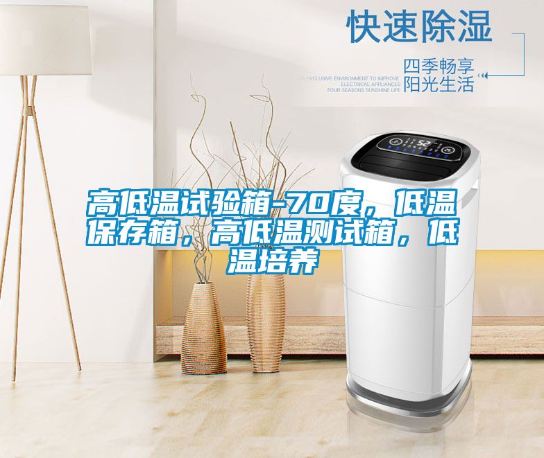 高低温试验箱-70度，低温保存箱，高低温测试箱，低温培养